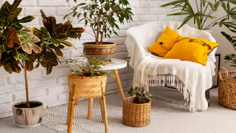 Dreamy Boho Home Décor Ideas to Transform Your Space with Effortless Style